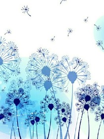 蒲公英的黎明
