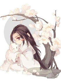 冷情仙尊：神尊的呆萌小喵妃