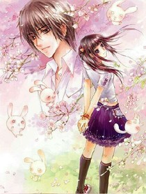 樱花雨之星恋