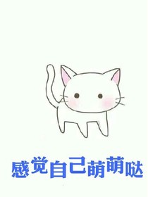 与一只猫咪的邂逅