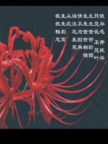 彼岸，何时再相见