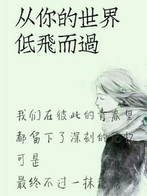 从你的世界低飞而过