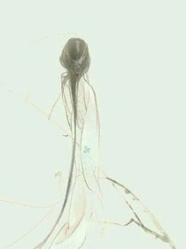 望君解我意