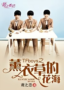 薰衣草的花海（TFBOYS）