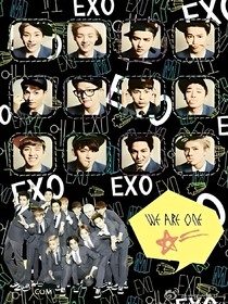 EXO之十二種族