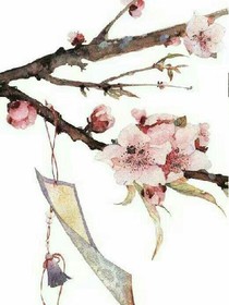 浅浅回眸