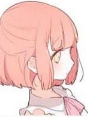 一朵金花