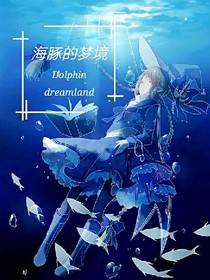 海豚的梦境