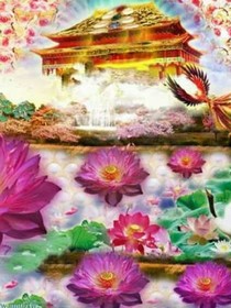 梦中的奇幻