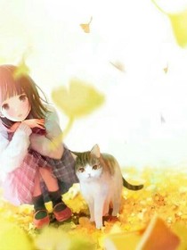 爱猫少女的爱情历程