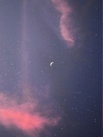 清歡與你