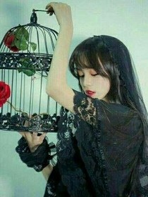薰衣草的幻香
