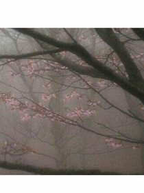 快穿之主角又黑化了