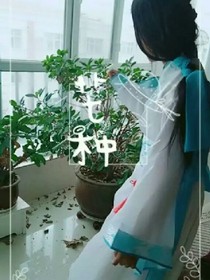 清鹤