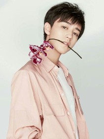 TFboys之青春爱上你
