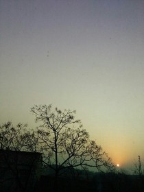 那个夜晚，我独自走在冷风中