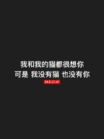 他与她之间的故事