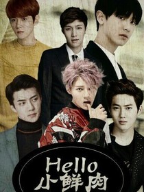 Hello，小鮮肉