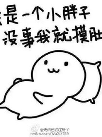 赵胖子的日常生活
