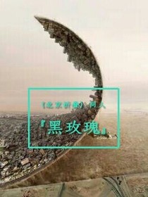 北京折叠同人之黑玫瑰