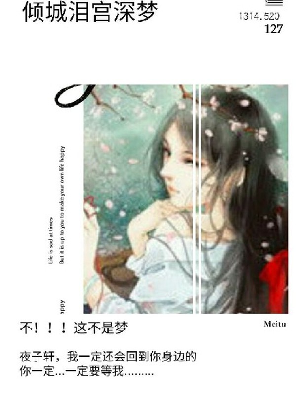倾城泪宫深梦