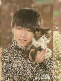 TFboys之偷偷喜欢你