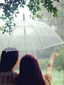 雨缘