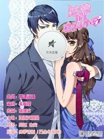 總裁的私有小秘