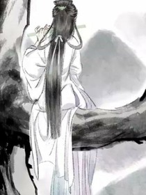 无双之梦