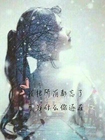 星空落下柠泪