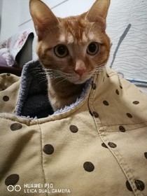 小小的故事