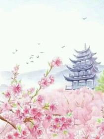 小花仙之花之法典