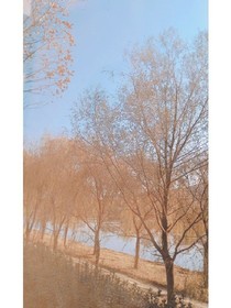 爱你，是整个青春的过程