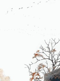 回不去的年少
