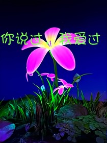 你說(shuō)過(guò)，我愛(ài)過(guò)