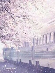 我在你的心里迷了路