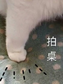 閃戀Flashlove