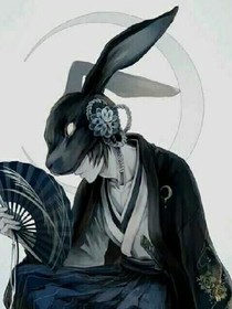 浅若夏沫.