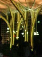 星星点点繁繁天