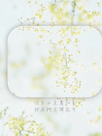 殺手之愛的世界