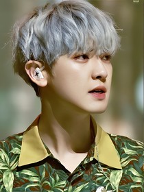 EXO之灿烈哥哥爱上我