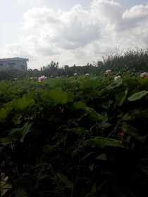 為什么越來越多的年輕人不愿意和老人一起生活