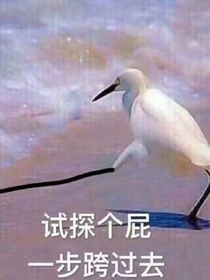 书名正在修改_1542687394022213278