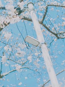 许你长欢喜