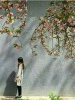 你要不要答案？