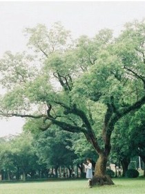 与你们一起的流年