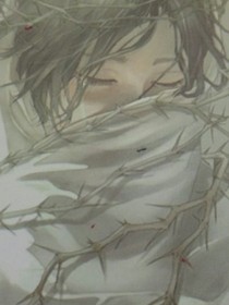 我的男人我做主