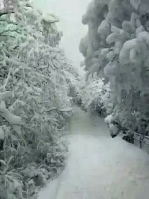 再刻骨铭心的爱终会烟消云散