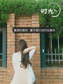 TF之复仇三小姐