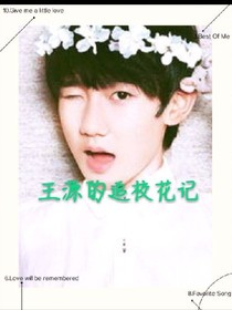 王源的追校花记